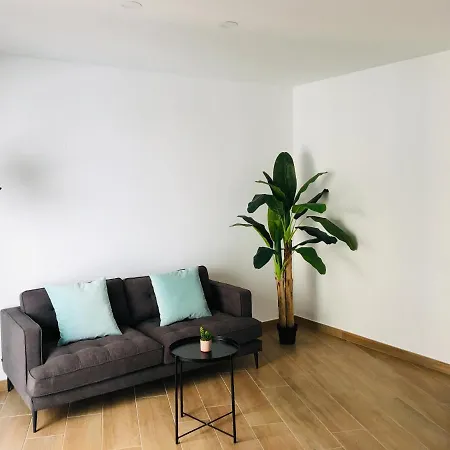 Aiguaneu El Celler Appartement *